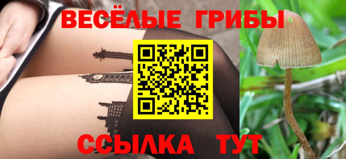 Стрежевой  Галлюциногенные грибы GOLDEN TEACHER  Вход с VPN  Галлюциногенные грибы мухоморы 